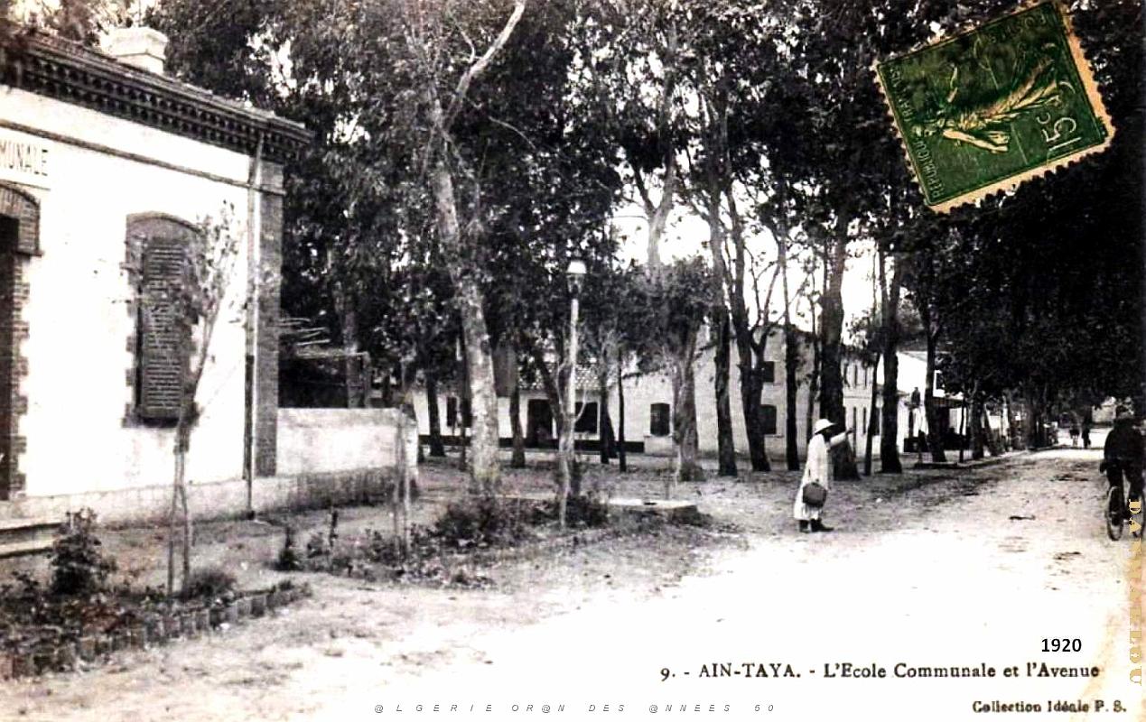 Ain-Taya - Ecole Communale et Avenue - 1920.jpg